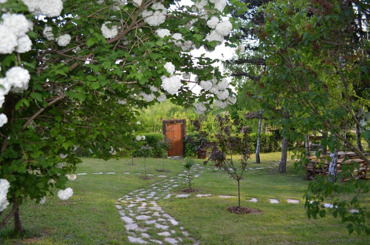 Vila Davidovic-Fruska Gora Mandelos ภายนอก รูปภาพ