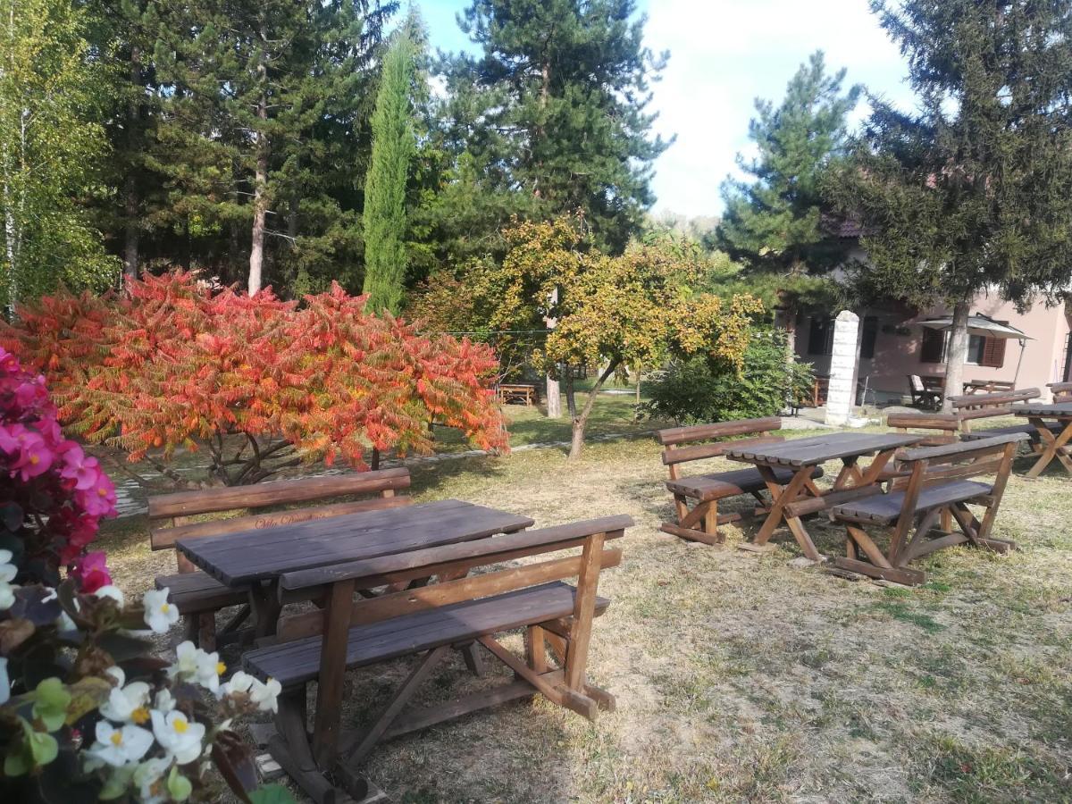 Vila Davidovic-Fruska Gora Mandelos ภายนอก รูปภาพ