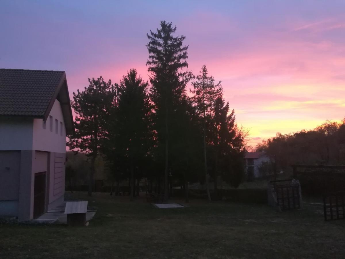 Vila Davidovic-Fruska Gora Mandelos ภายนอก รูปภาพ