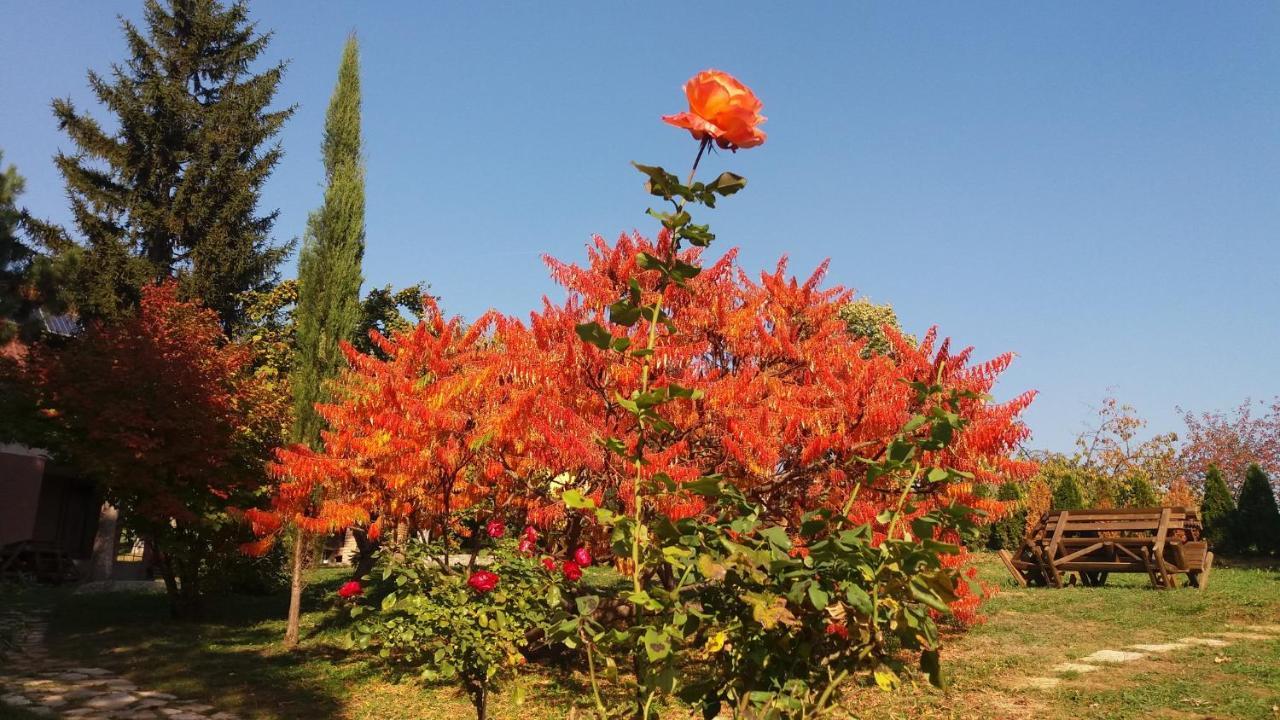 Vila Davidovic-Fruska Gora Mandelos ภายนอก รูปภาพ