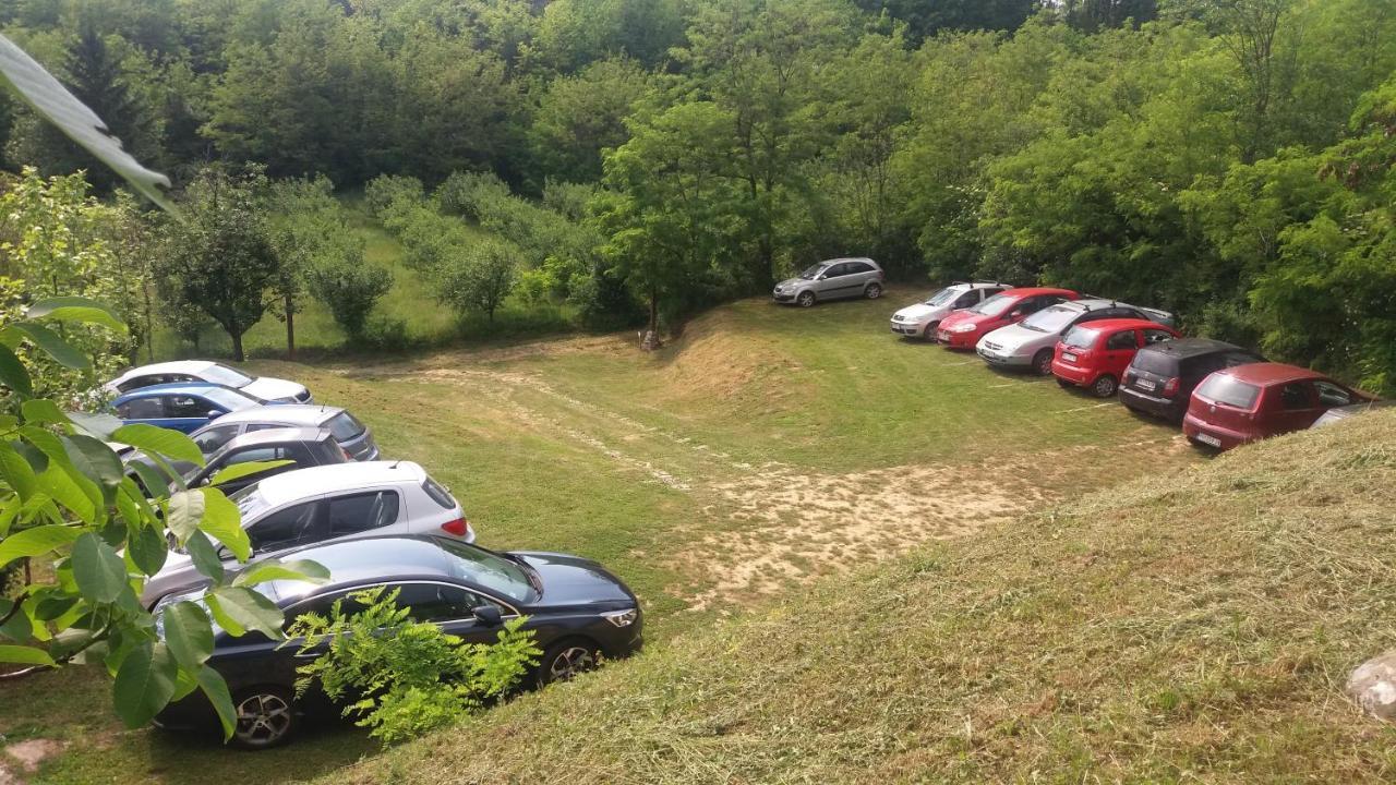 Vila Davidovic-Fruska Gora Mandelos ภายนอก รูปภาพ
