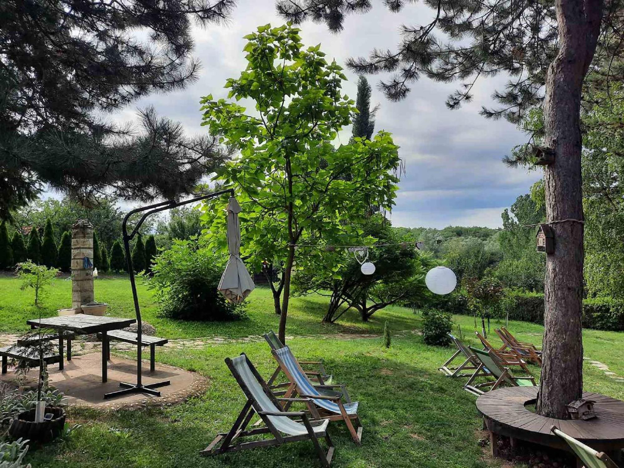 Vila Davidovic-Fruska Gora Mandelos ภายนอก รูปภาพ