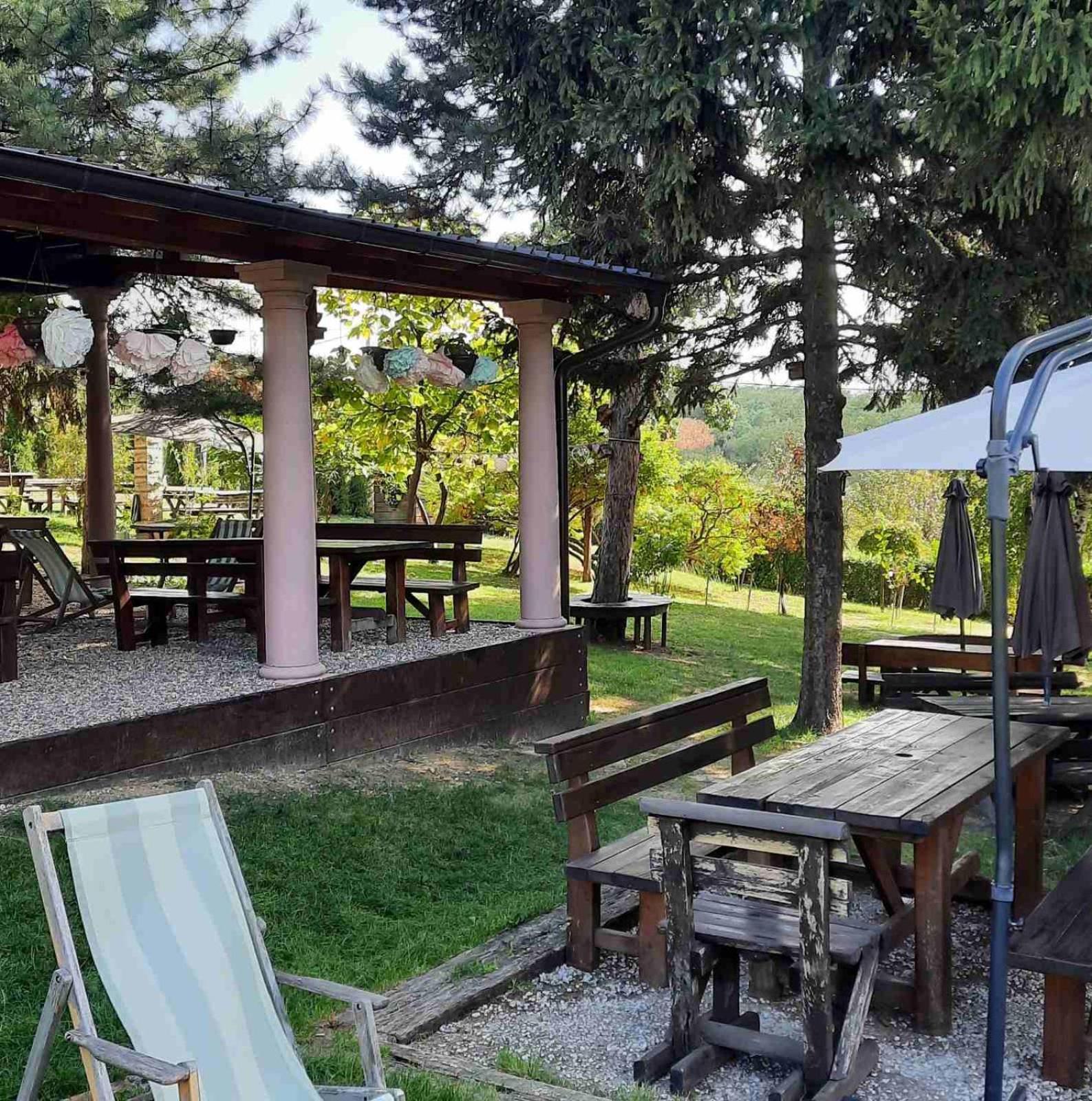 Vila Davidovic-Fruska Gora Mandelos ภายนอก รูปภาพ