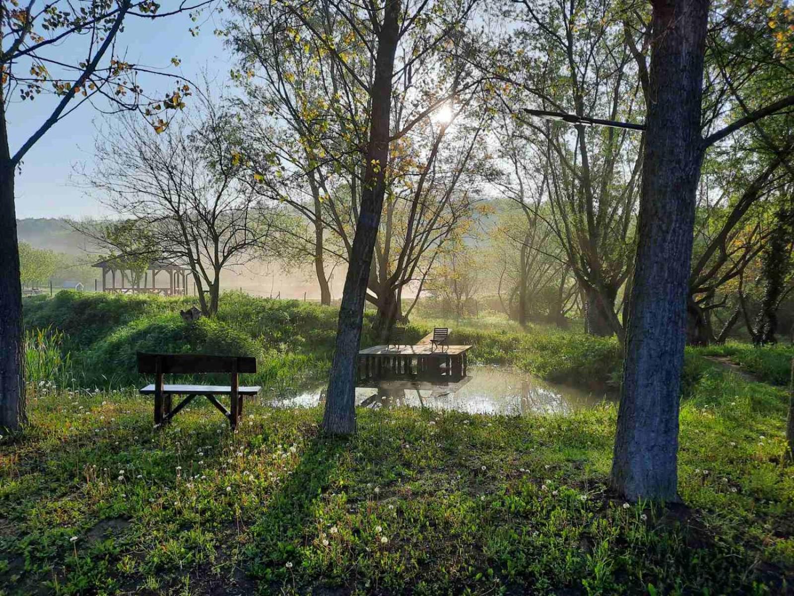 Vila Davidovic-Fruska Gora Mandelos ภายนอก รูปภาพ