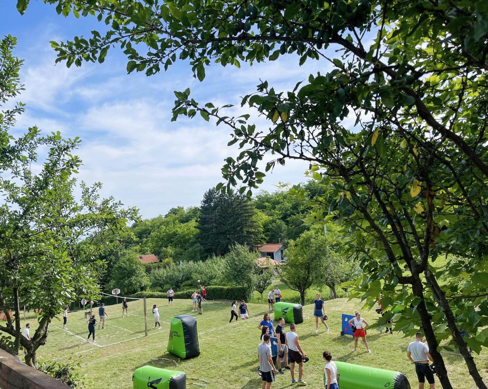 Vila Davidovic-Fruska Gora Mandelos ภายนอก รูปภาพ