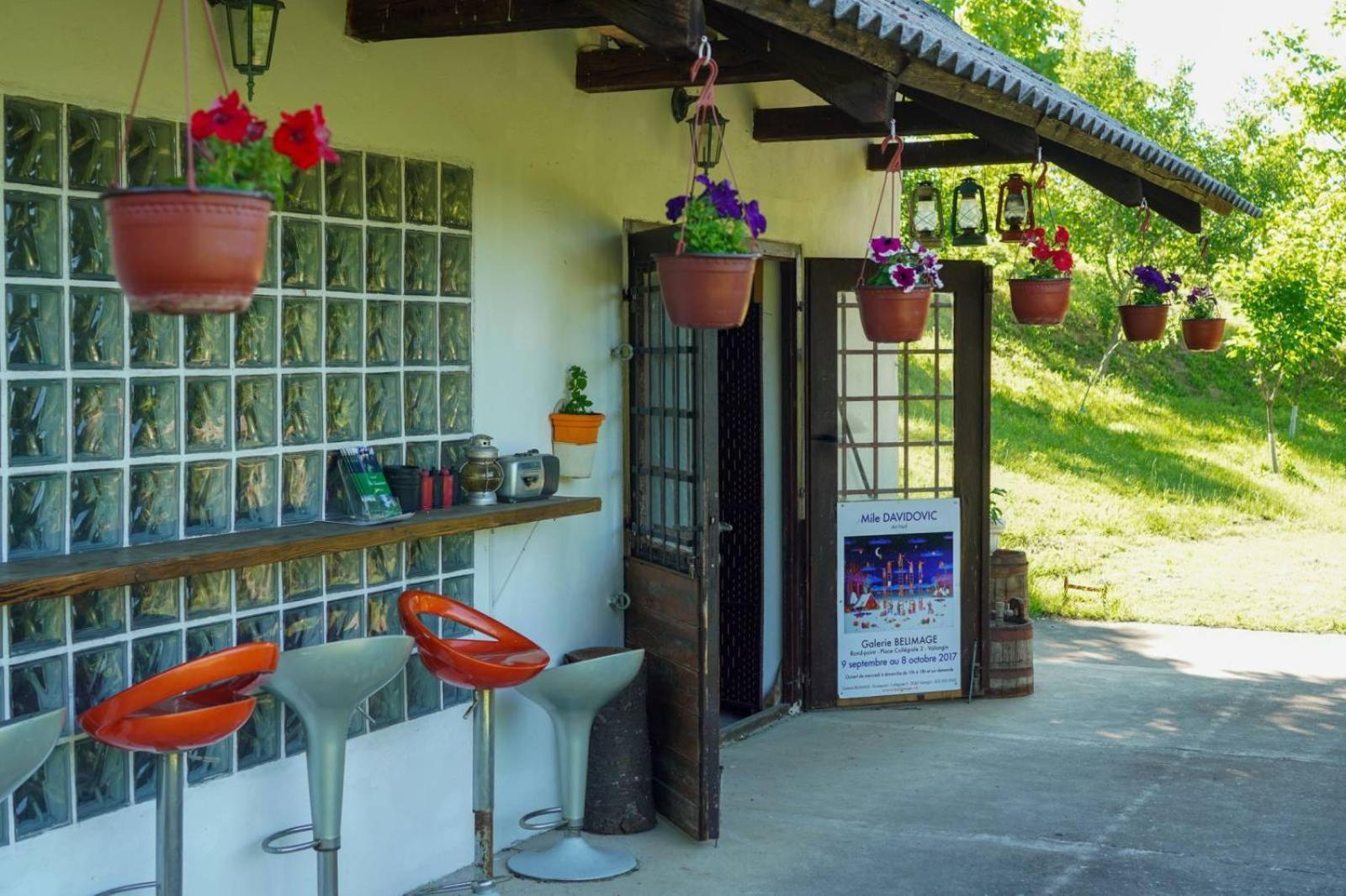 Vila Davidovic-Fruska Gora Mandelos ภายนอก รูปภาพ
