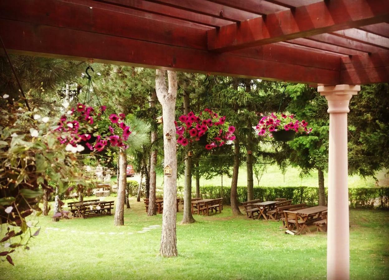 Vila Davidovic-Fruska Gora Mandelos ภายนอก รูปภาพ