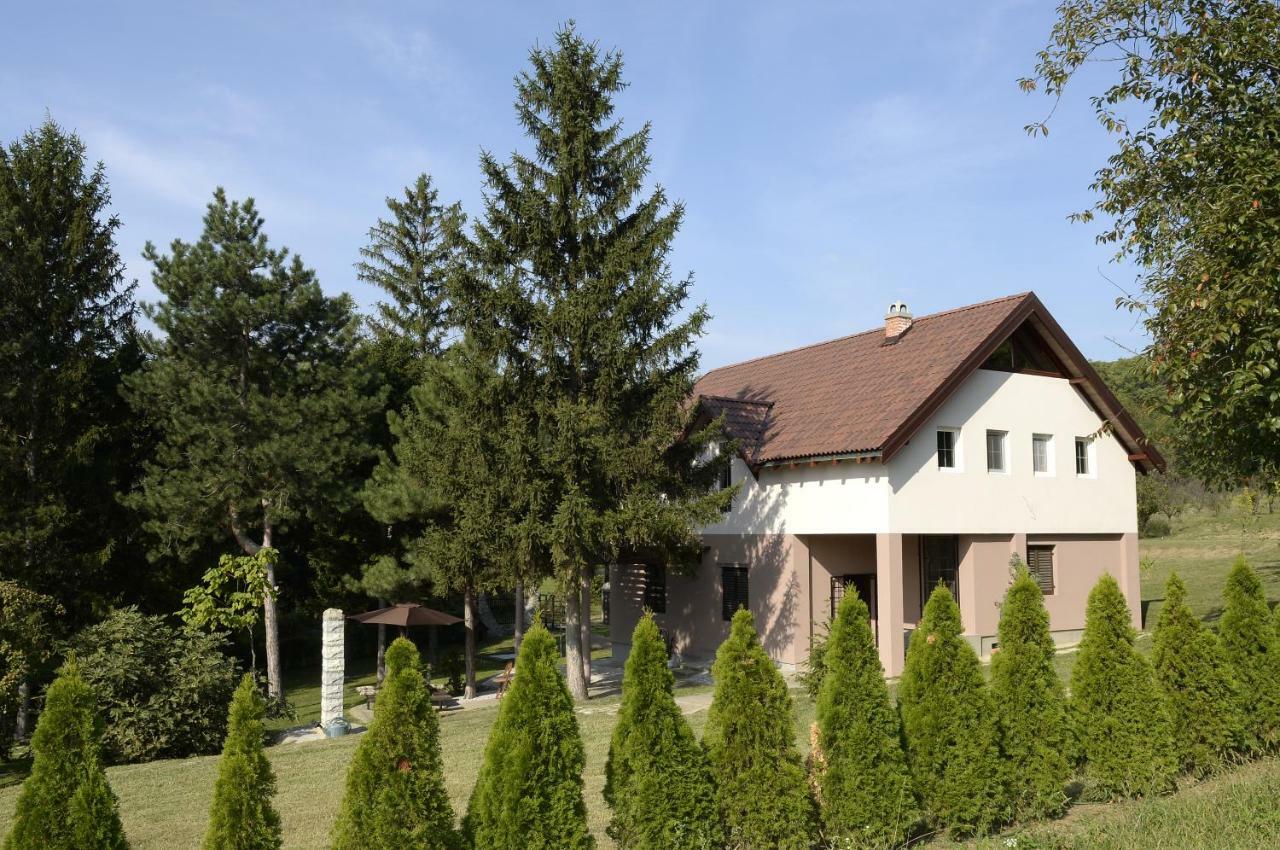 Vila Davidovic-Fruska Gora Mandelos ภายนอก รูปภาพ