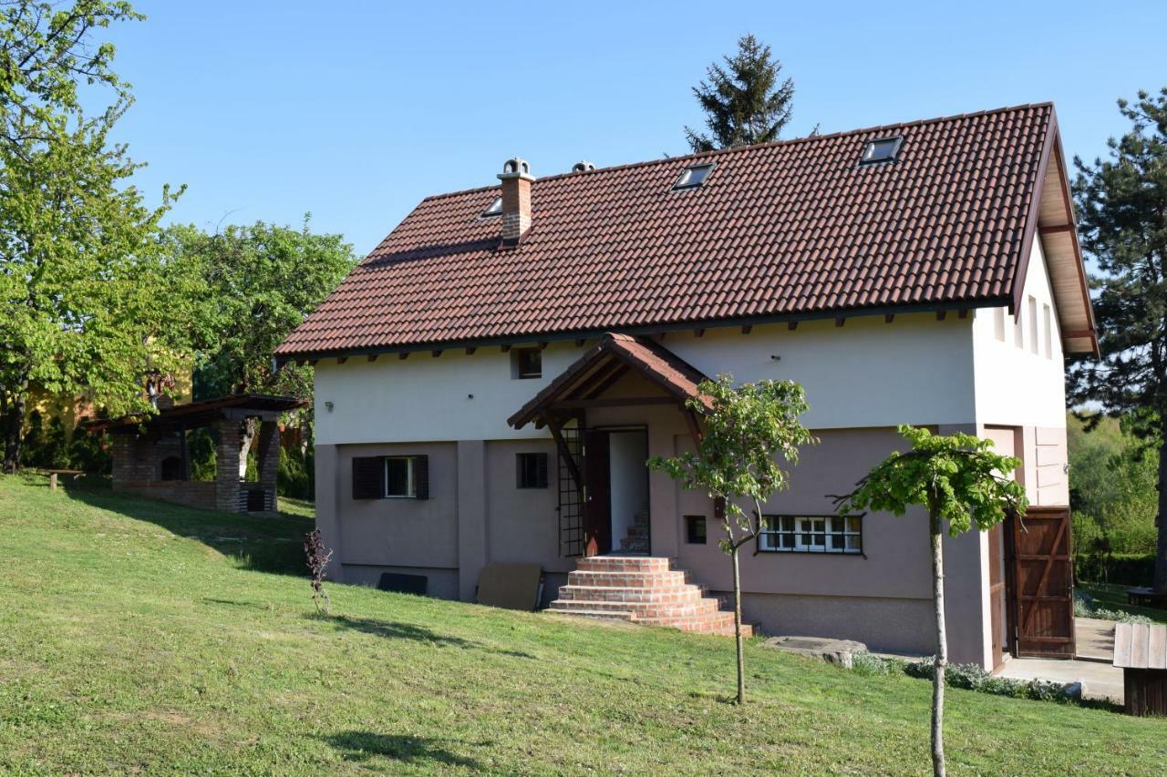 Vila Davidovic-Fruska Gora Mandelos ภายนอก รูปภาพ